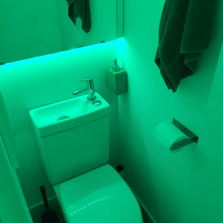 Disco Toilet! Disco Toilet!