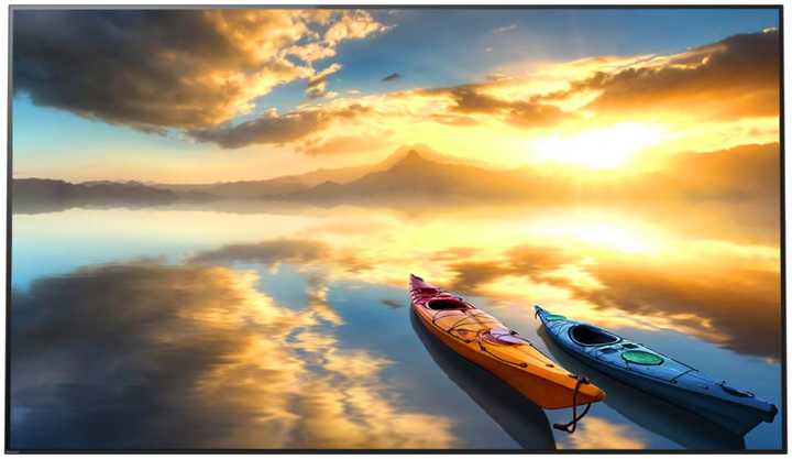 sony a1 sony a1